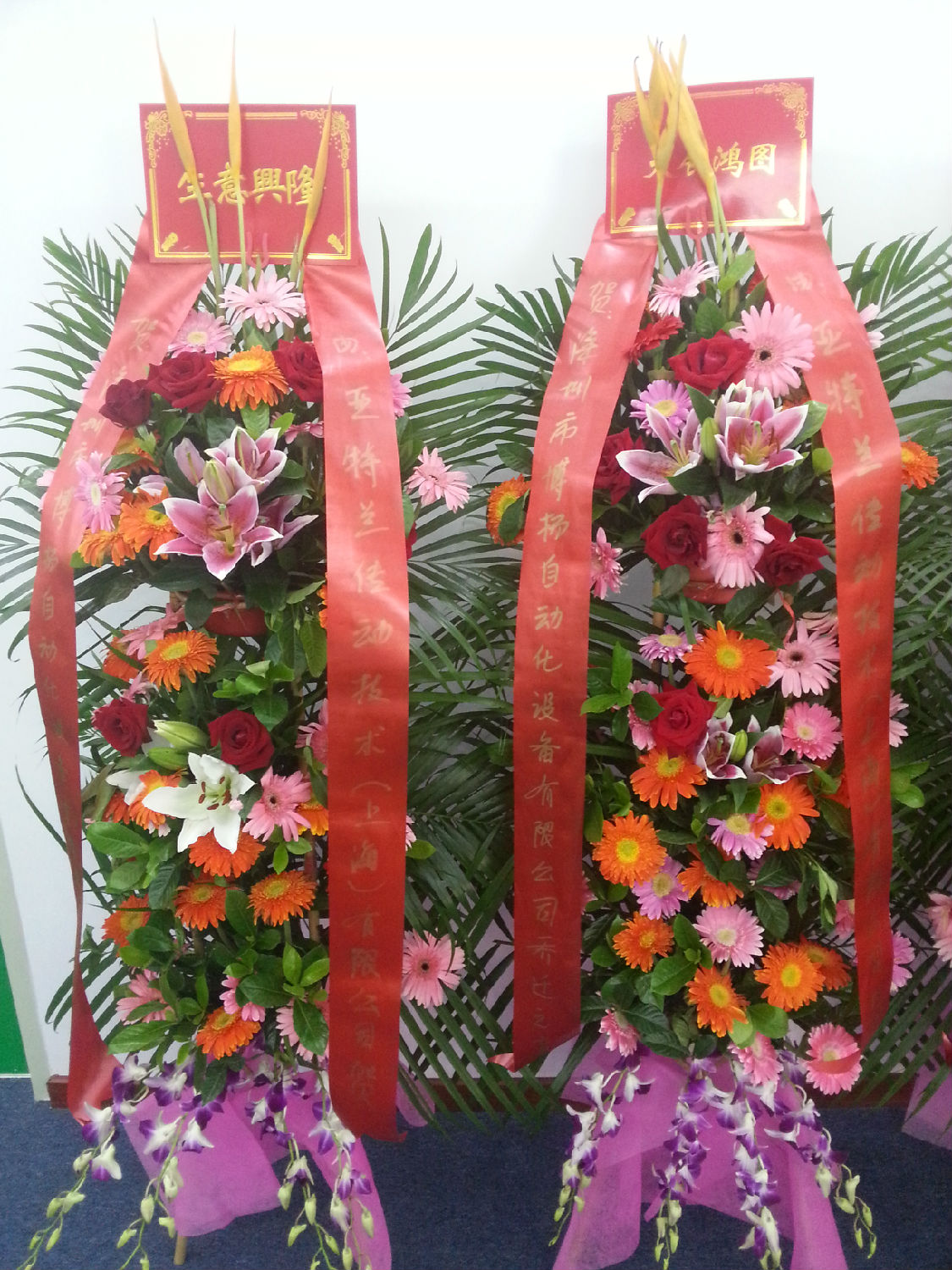 亞特蘭傳動(dòng) 亞特蘭傳動(dòng)