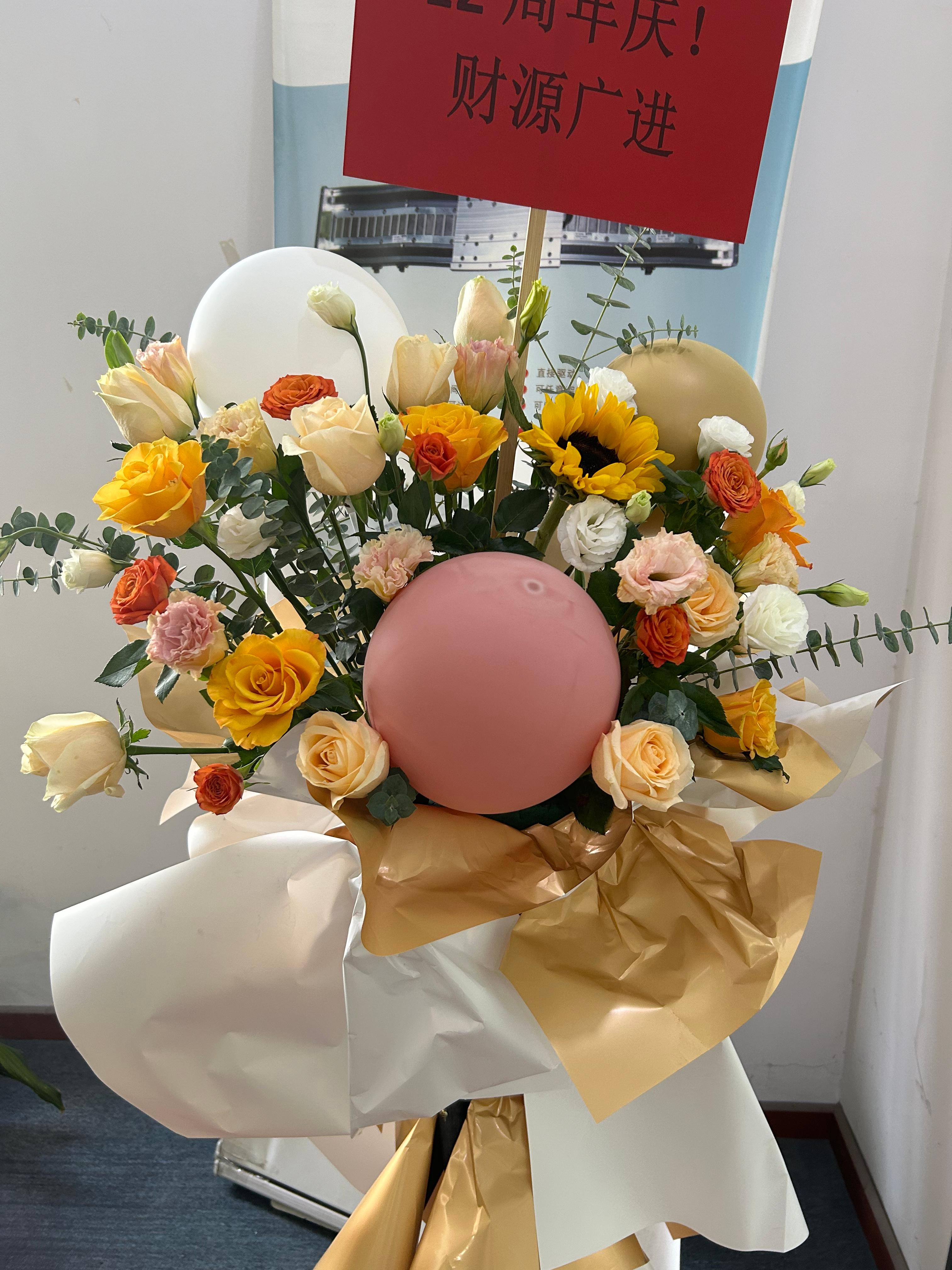 IMG_2917.jpg IMG_2917.jpg